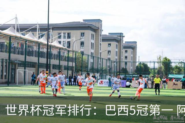 世界杯冠军排行：巴西5冠第一 阿根廷3冠排名第四